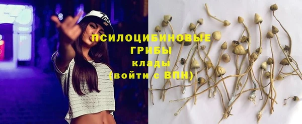 стафф Алексеевка